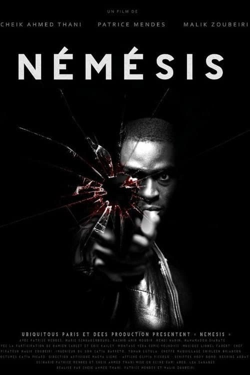 Poster for Némésis