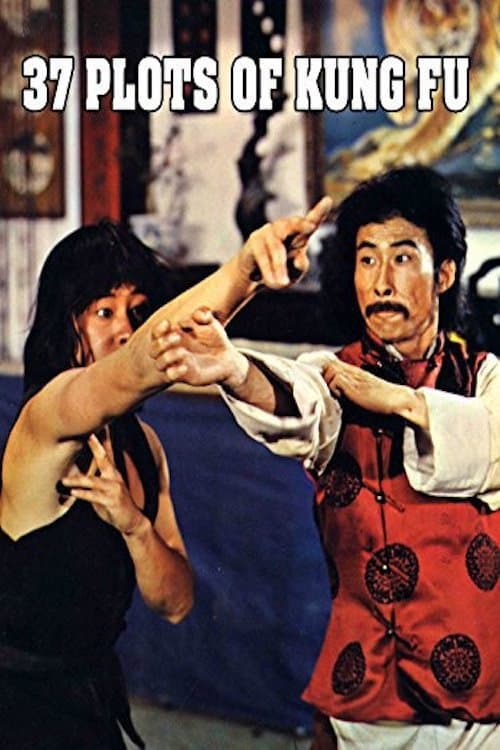 Poster for 37 Plots of Kung Fu