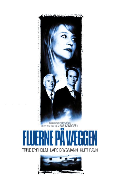 Poster for Flies on the Wall