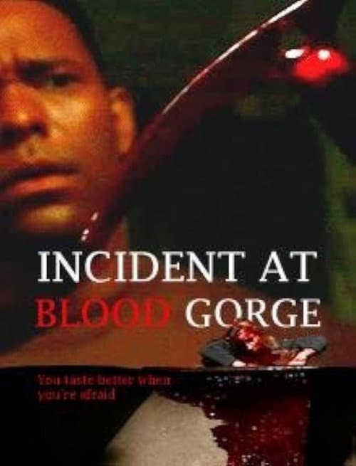 Poster for Incident at Blood Gorge