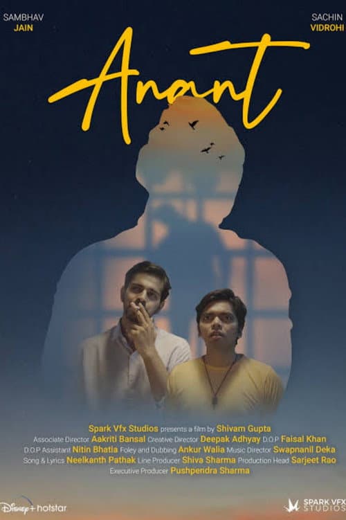 Poster for Anant - A Journey Towards The End