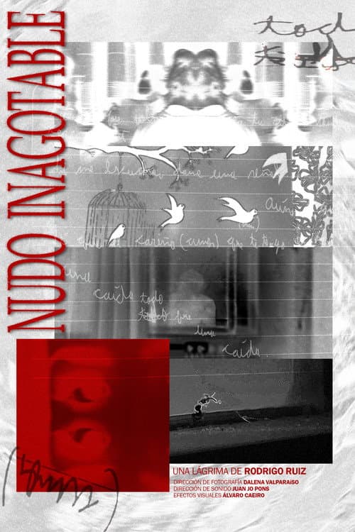 Poster for Nudo Inagotable