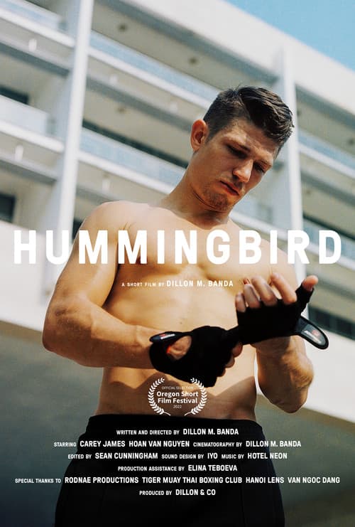 Poster for Hummingbird