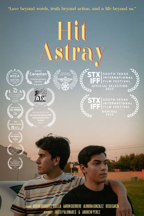 Poster for Hit Astray