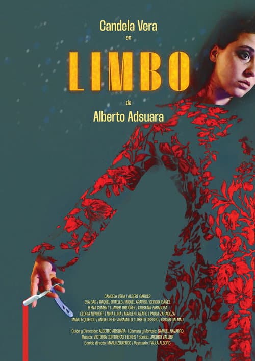 Poster for LIMBO