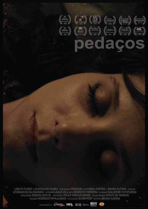 Poster for Fragments