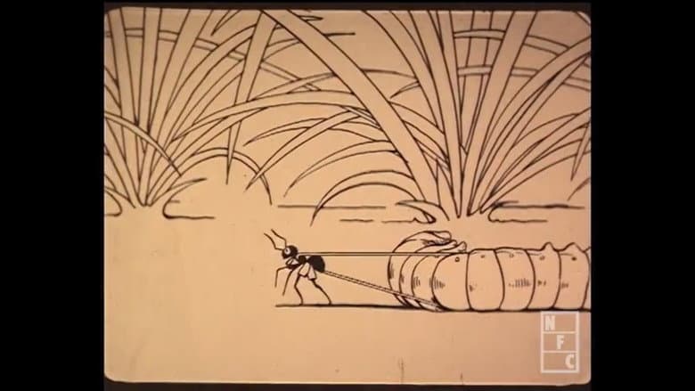 Backdrop from Two Worlds