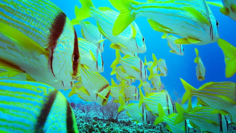 Backdrop from Red Sea