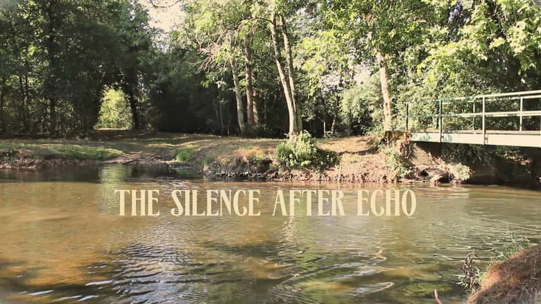 Backdrop from The silence after echo
