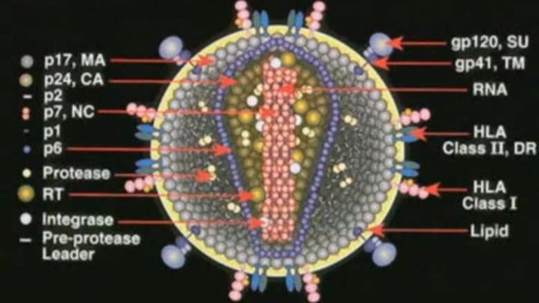Backdrop from Deconstructing the Myth of Aids