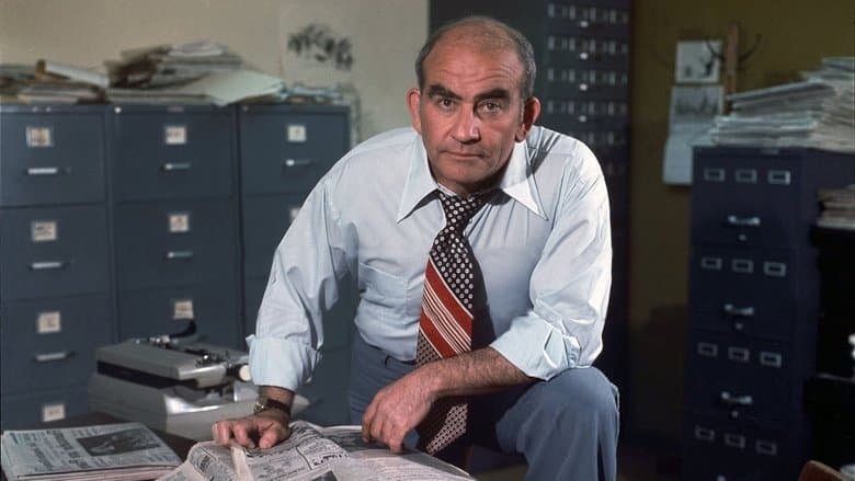 Backdrop from Lou Grant