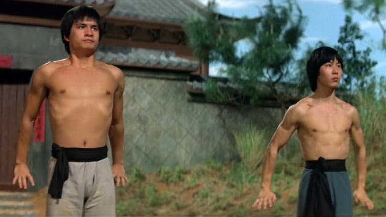 Backdrop from The New Shaolin Boxers