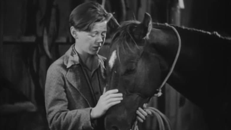 Backdrop from Two Thoroughbreds