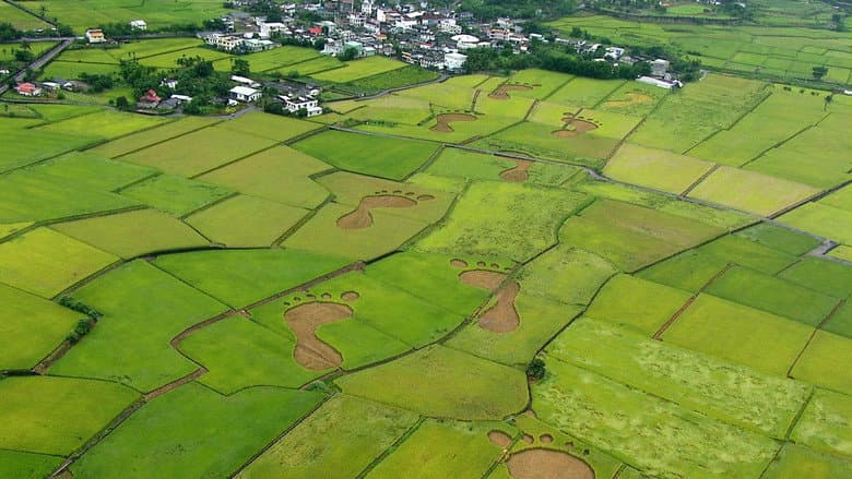Backdrop from Beyond Beauty: Taiwan from Above
