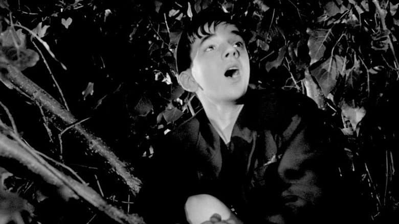 Backdrop from Le Rossignol et les cloches