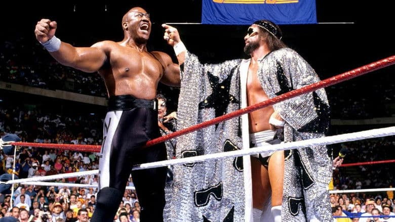 Backdrop from WWE SummerSlam 1989