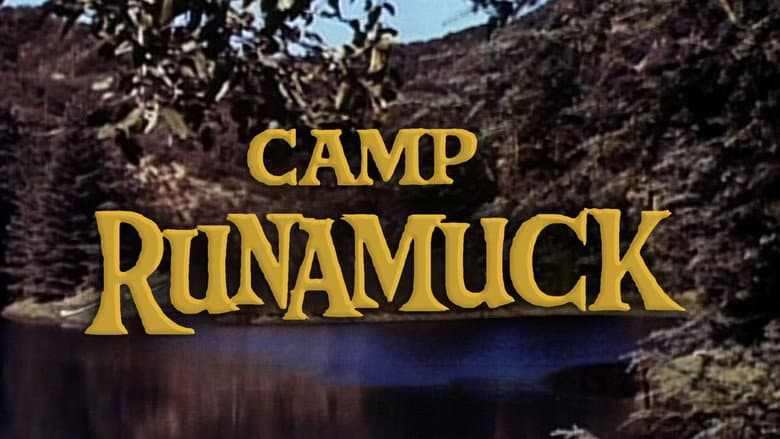 Backdrop from Camp Runamuck