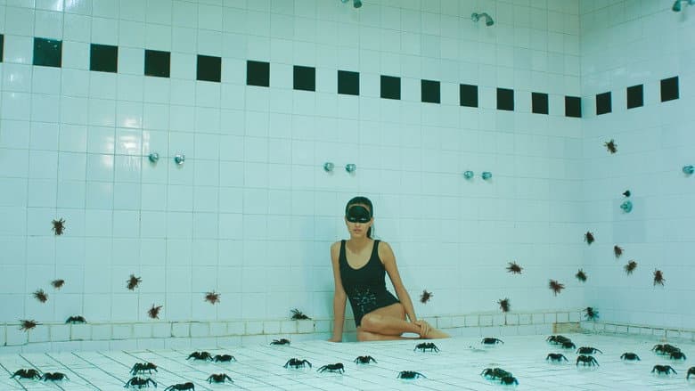 Backdrop from Arachnids