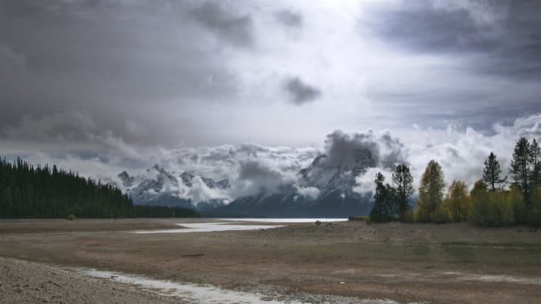 Backdrop from Population Zero