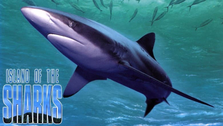 Backdrop from Island of the Sharks
