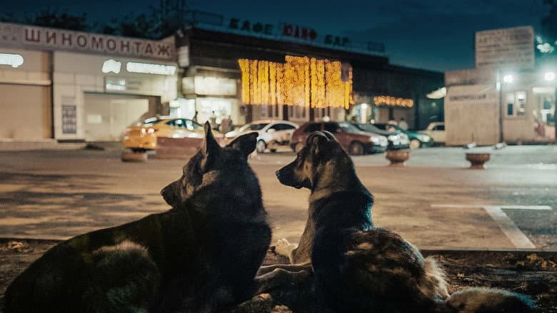 Backdrop from Space Dogs