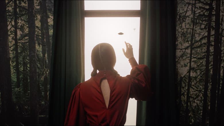 Backdrop from Becoming