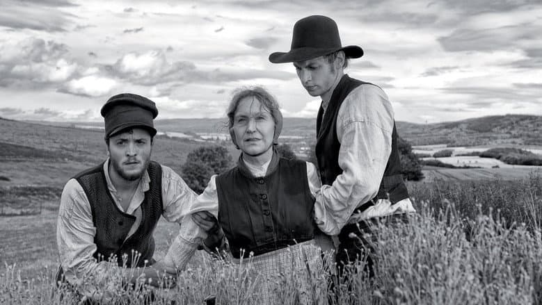 Backdrop from Home from Home – Chronicle of a Vision