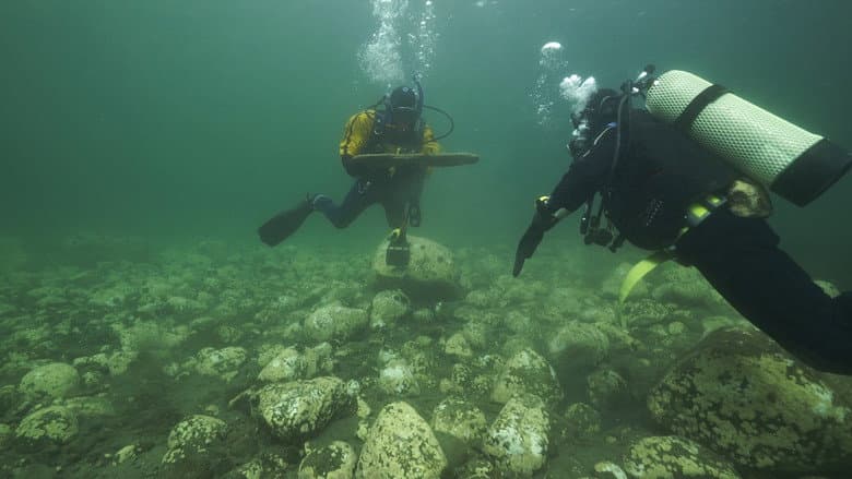 Backdrop from Shipwreck at Egg Island
