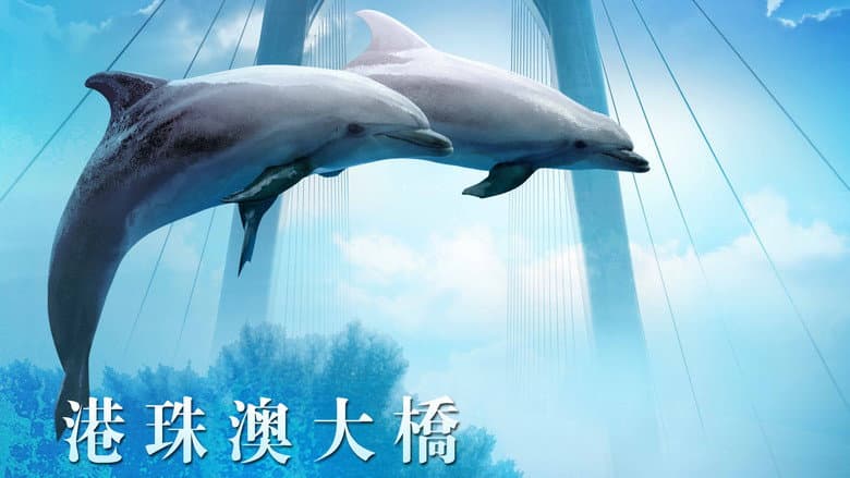 Backdrop from Hong Kong-Zhuhai-Macao Bridge