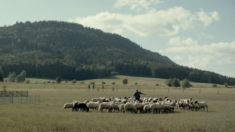 Backdrop from Zvlčeni