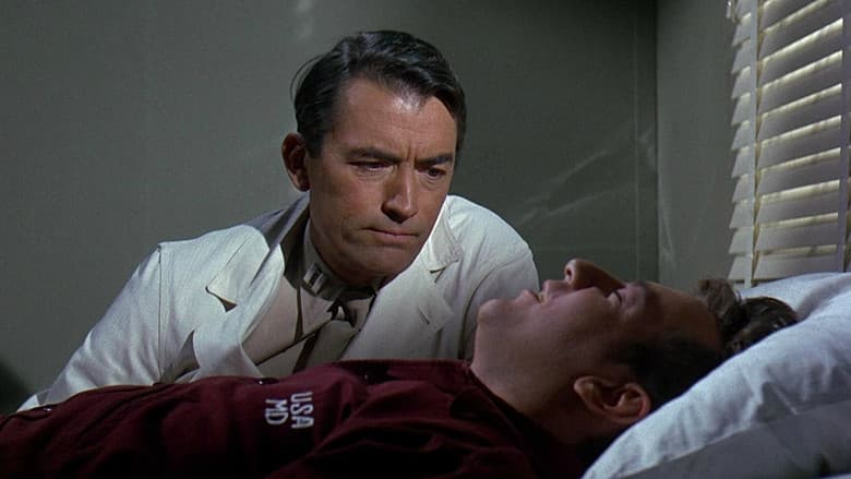 Backdrop from Captain Newman, M.D.
