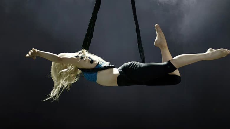 Backdrop from The Aerialist