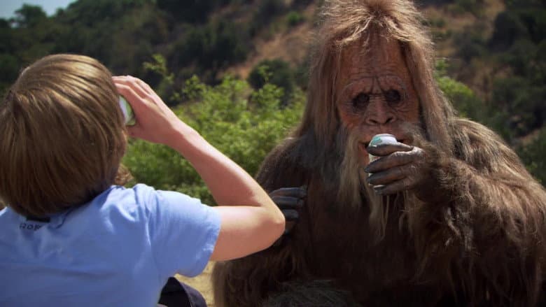 Backdrop from Bigfoot