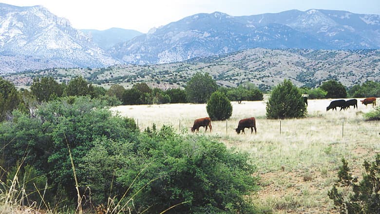 Backdrop from Whose Home on the Range?