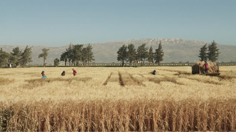 Backdrop from Wild Relatives