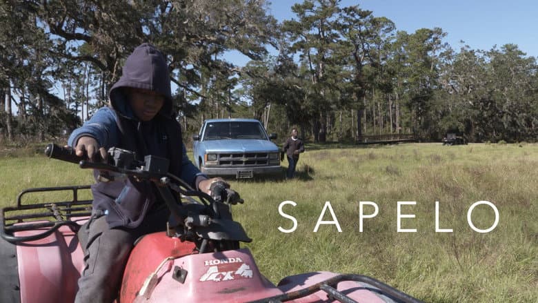 Backdrop from Sapelo