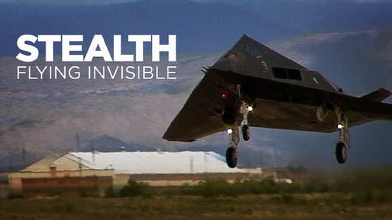Backdrop from Stealth: Flying Invisible