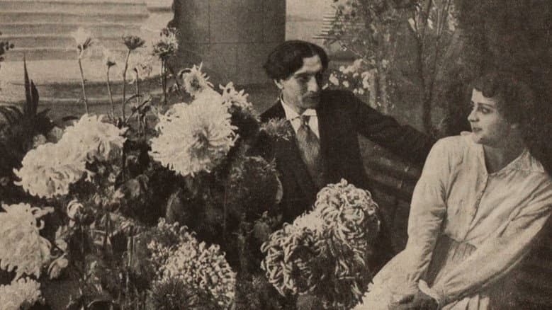 Backdrop from Long Gone are Chrysanthemums in a Garden