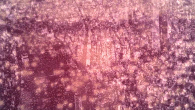 Backdrop from Generator