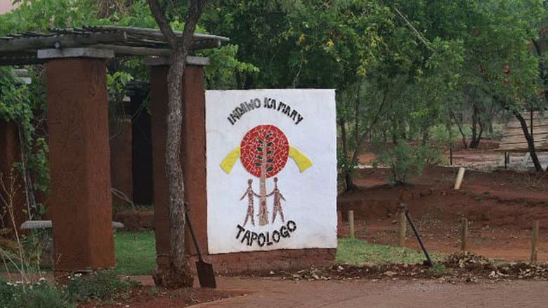 Backdrop from Tapologo