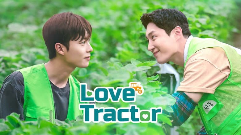 Backdrop from Love Tractor