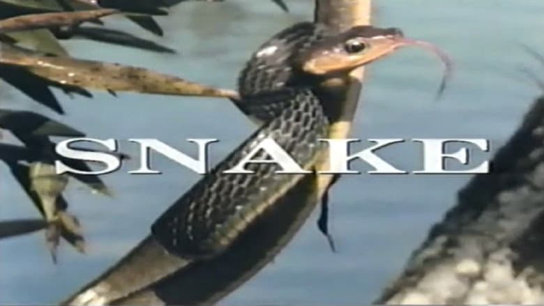 Backdrop from Predators of the Wild: Snake