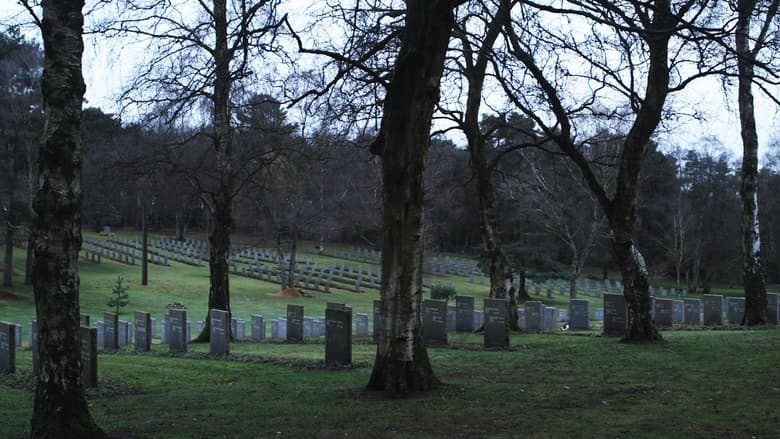 Backdrop from Sideworld: Haunted Forests of England