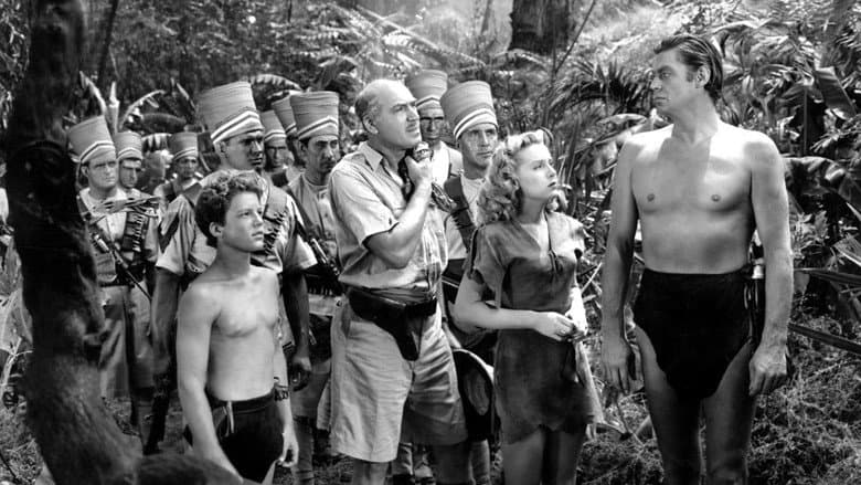 Backdrop from Tarzan and the Huntress