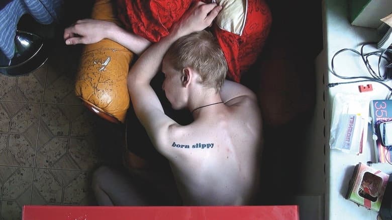 Backdrop from How to Save a Dead Friend