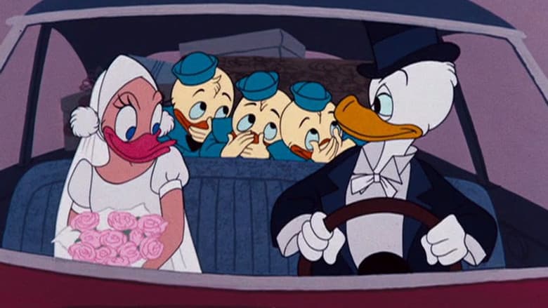 Backdrop from Donald's Diary