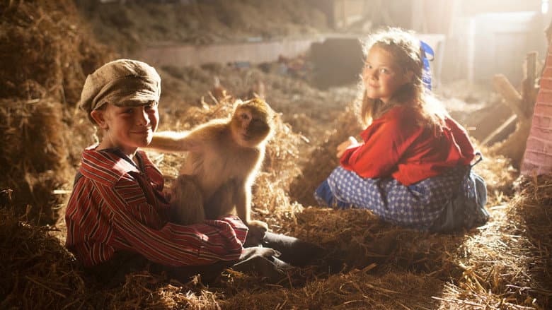 Backdrop from Monkey Business