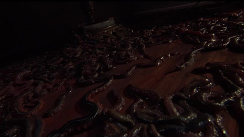 Backdrop from Squirm