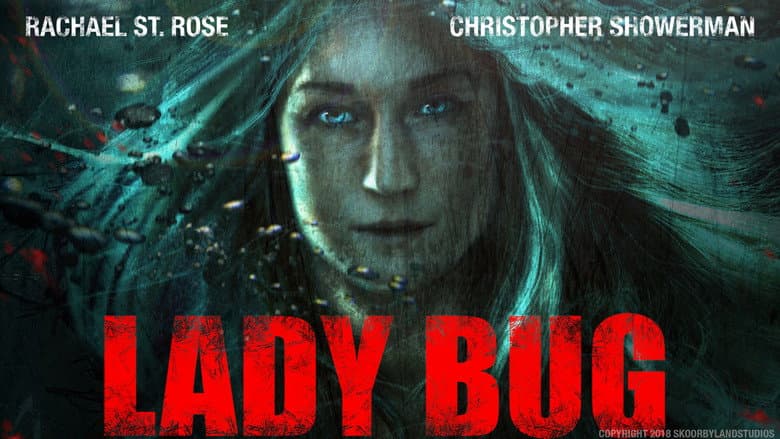 Backdrop from Lady Bug