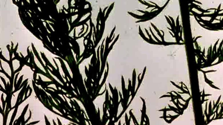 Backdrop from The Garden of Earthly Delights
